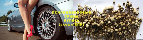 меф Алзамай