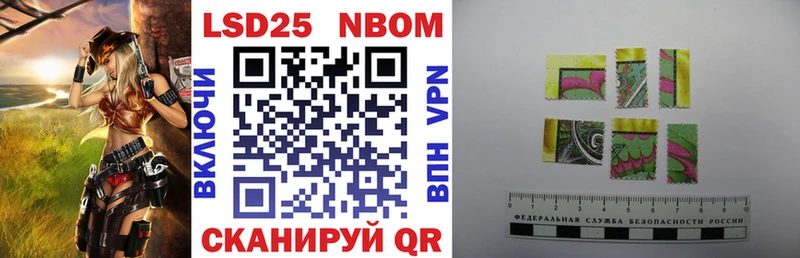 OMG как войти  как найти закладки  Новопавловск  Марки N-bome 1,8мг 