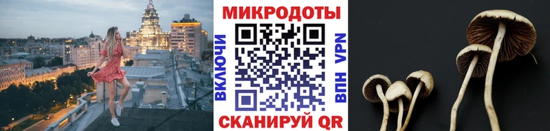 Галлюциногенные грибы Magic Shrooms  kraken зеркало  Новопавловск 