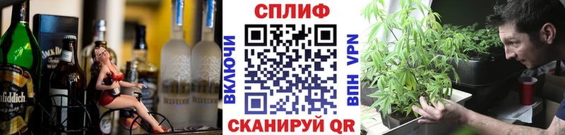 Конопля план  Новопавловск 